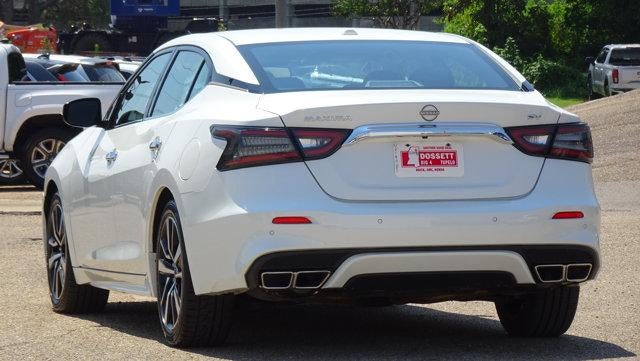 2023 Nissan Maxima SV CVT