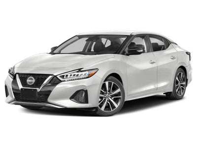 2023 Nissan Maxima SV CVT