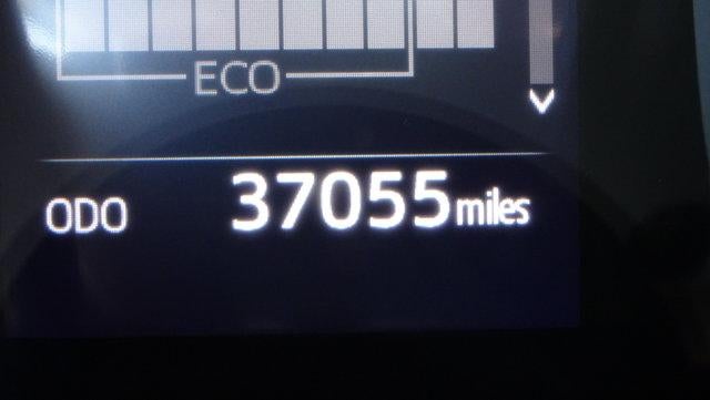 2019 Toyota Camry SE Auto (SE)