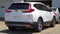 2019 Honda CR-V EX-L 2WD