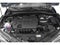 2019 Toyota C-HR Limited FWD (Natl)