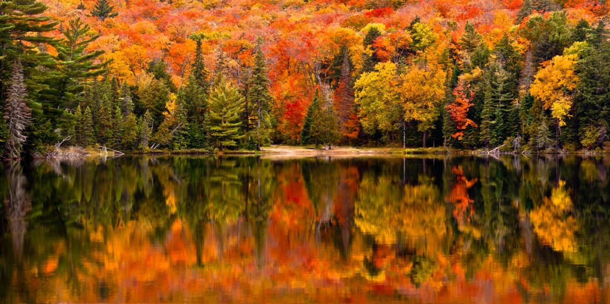 fall in Mississippi